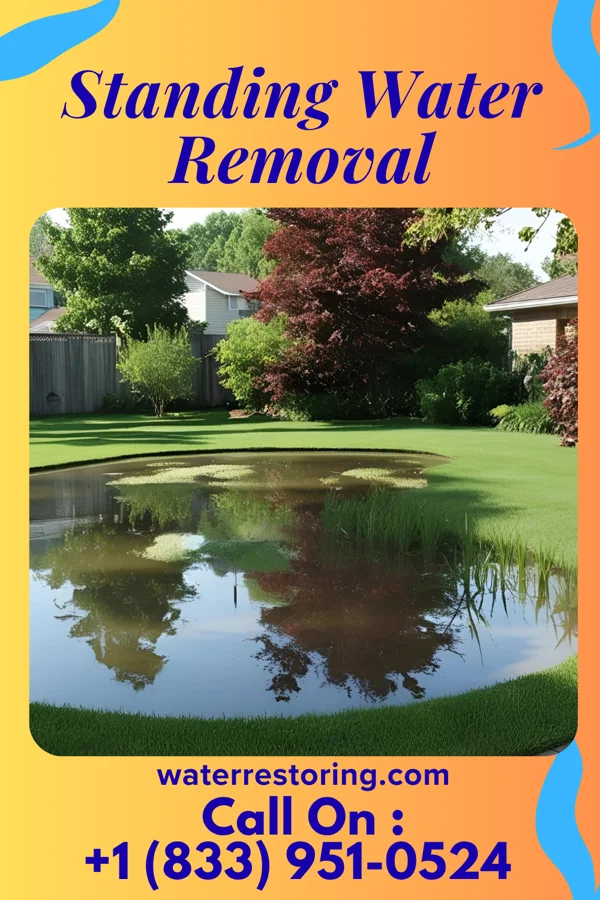 Standing Water Removal in Rea, MO